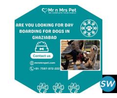 Best Day Boarding For Dogs in Ghaziabad