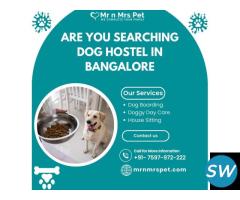 Best Dog Hostel in Bangalore