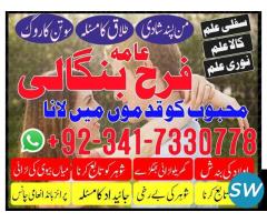 real asli amil baba in dubai  world astrologer