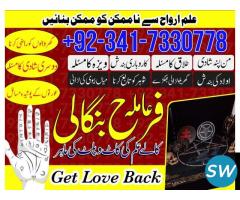 Famous Astrologer - Get Your Love Back 1 Days