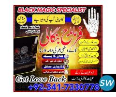 Famous Astrologer - Get Your Love Back 1 Days