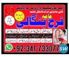 Love Problem Solution Astrologer in Ontario