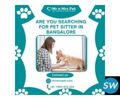 Reliable Pet Sitter in Bangalore - 1