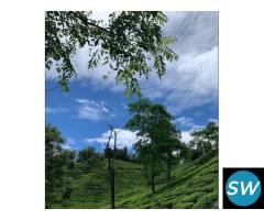 Darjeeling & Gangtok  4Nights 5 Days