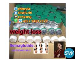 Semaglutide weight loss cas910463–68–2 good price