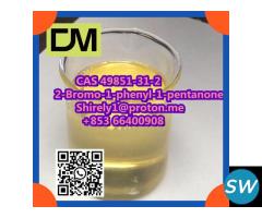 2-Bromo-1-phenyl-1-pentanone CAS 49851-31-2