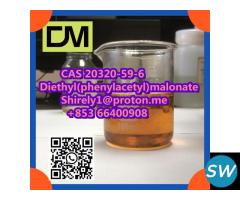 CAS 20320-59-6 Diethyl(phenylacetyl)malonate - 2