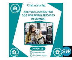 Best Dog Boarding Services in Mumbai