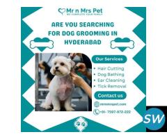 Best Dog Grooming at Home in Hyderabad