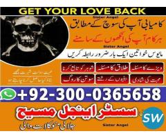 love marriage specialist astrologer, - 1