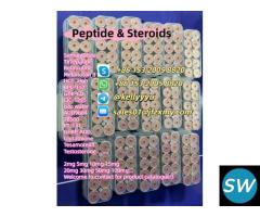 Peptides Semaglutide Retatrutide Tirzepatide - 2