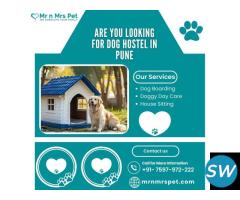 The Best Dog Hostel in Pune