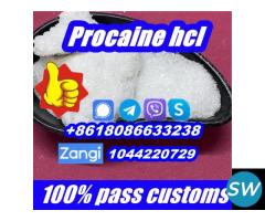 Buy Procaine Hydrochloride for Local Anesthetic