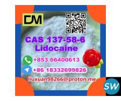 CAS 137-58-6 Lidocaine - 5