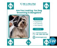 Best Dog Grooming in Bangalore at Affordable Price - 1