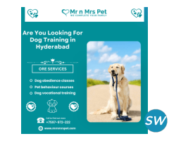 Are You Looking For Dog Training in Hyderabad - 1