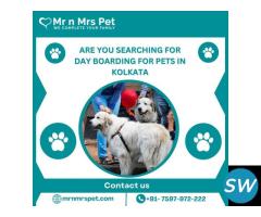 Professional Day Boarding For pets in Kolkata - 1