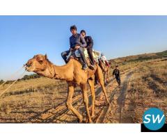 Family-Friendly Desert Camps Near Jodhpur