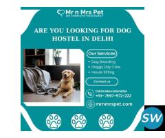 Best Dog Hostel in Delhi