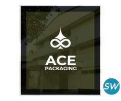 The foundation of Ace Packaging - 1