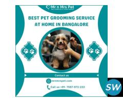 Best Pet Grooming Service at Home in Bangalore - 1