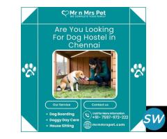 Best Dog Hostel in Chennai at Affordable Price - 1