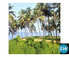 Go Goa at Unbeatable Price (Budget Hotels) - 3