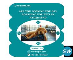 Professional Day Boarding For Pets in Hyderabad