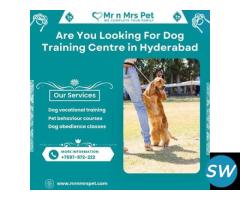 Dog Training Centre in Hyderabad