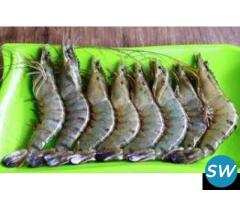 Frozen Black Tiger Shrimp Supplier from India