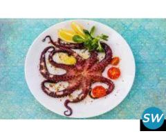 Frozen octopus Seafood Supplier and Exporter