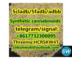 Synthetic cannabinoids/5cladb/5fadb/adbb - 1