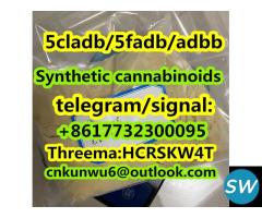 Synthetic cannabinoids/5cladb/5fadb/adbb