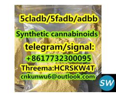 Synthetic cannabinoids/5cladb/5fadb/adbb