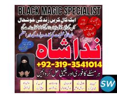 world famous amil baba in france black magic - 1