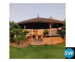 Imperial Farmhouse –Party Farm Stay in Jaipur - 4