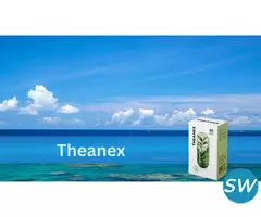 Theanex - 1