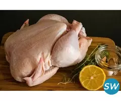 Frozen Meat, Lamb, Chicken Suppliers - 3