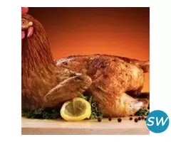 Frozen Halal Chicken Supplier, Exporter - 1