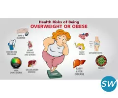 Take Control of Your Weight with Hormone Hub - 1