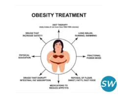 Take Control of Your Weight with Hormone Hub - 2