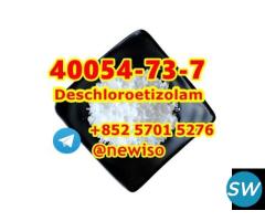 Fluetizolam  40054-73-7 Deschloroetizolam