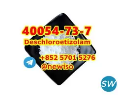Fluetizolam  40054-73-7 Deschloroetizolam - 1