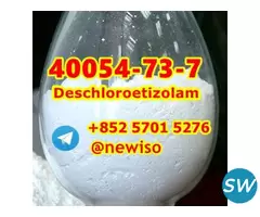 Fluetizolam  40054-73-7 Deschloroetizolam - 2