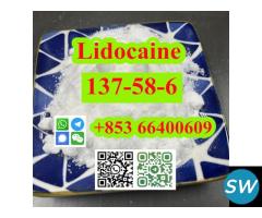 CAS 137-58-6 Lidocaine good quality - 2