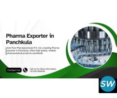 Pharma Exporter in Panchkula - 1