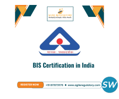 BIS Registration in Delhi - 1