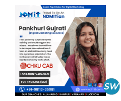 NDMIT Best Digital Marketing Course in South Delhi - 2