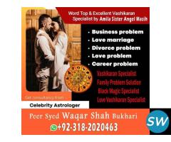 authentic amil baba, love marriage expert,