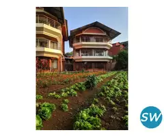 Best Place to Stay in Mahabaleshwar - 4